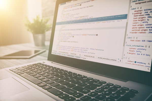 web網(wǎng)站怎么開(kāi)發(fā)